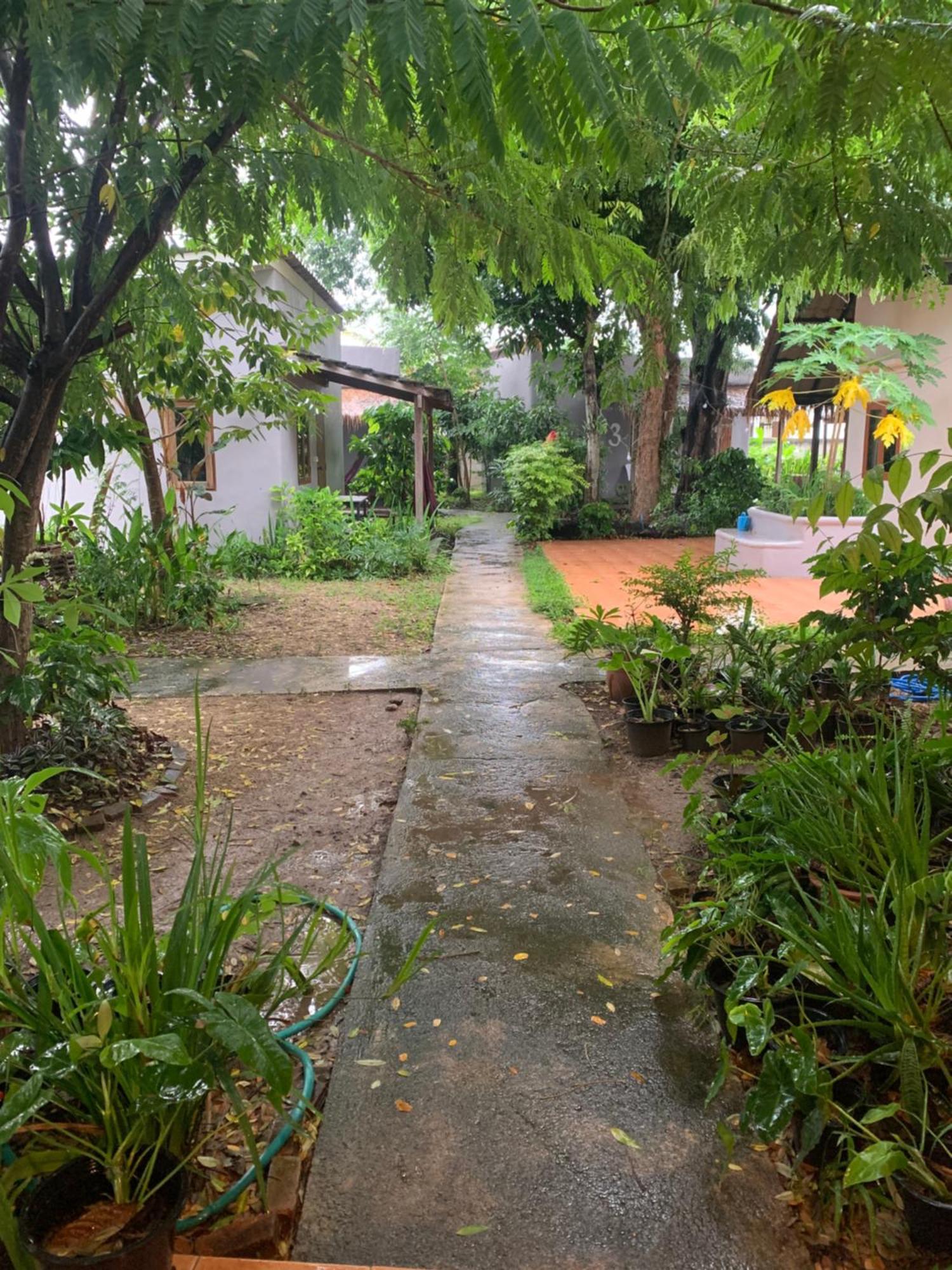 บ้านใจแปง ปาย ภายนอก รูปภาพ